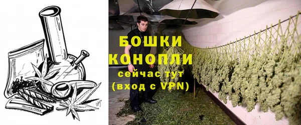 не бодяженный Богданович